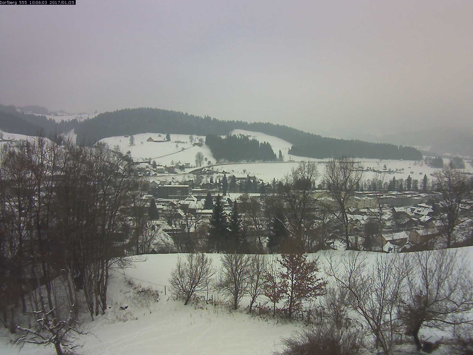 Webcam-Bild: Aussicht vom Dorfberg in Langnau 20170125-100601