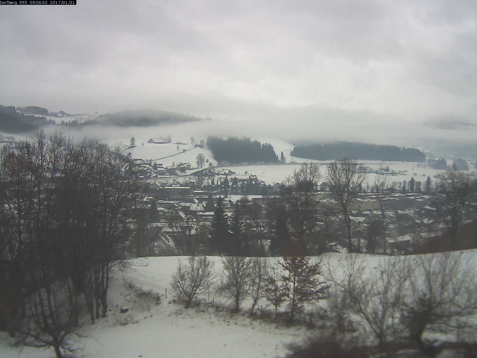 Webcam-Bild: Aussicht vom Dorfberg in Langnau 20170131-090601