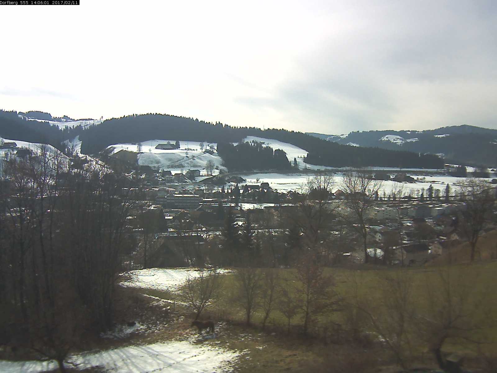 Webcam-Bild: Aussicht vom Dorfberg in Langnau 20170211-140601