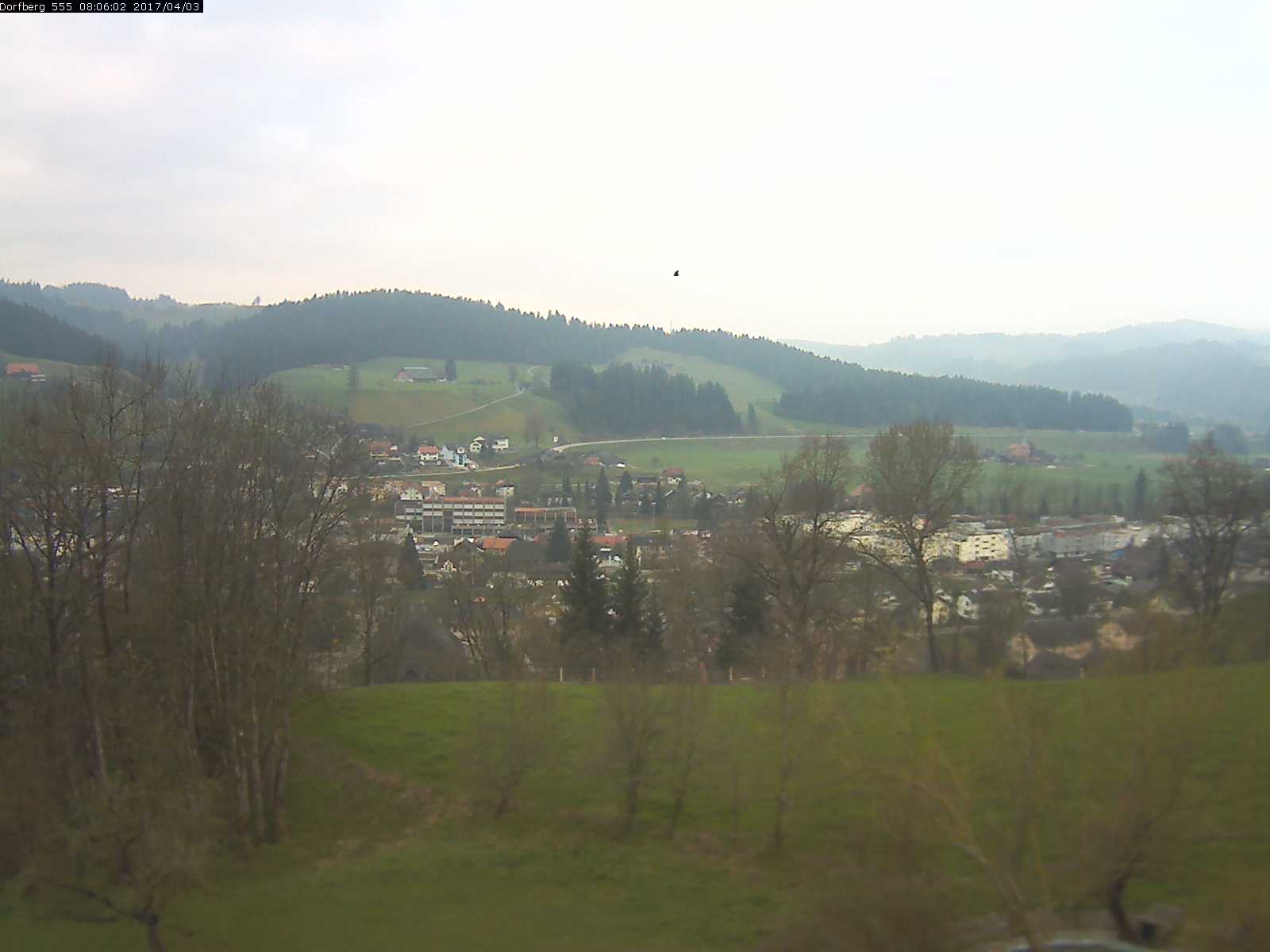 Webcam-Bild: Aussicht vom Dorfberg in Langnau 20170403-080601
