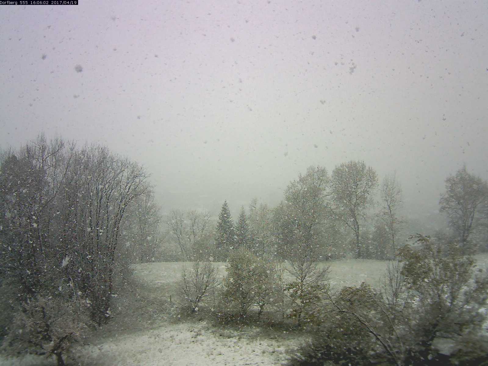 Webcam-Bild: Aussicht vom Dorfberg in Langnau 20170419-160601