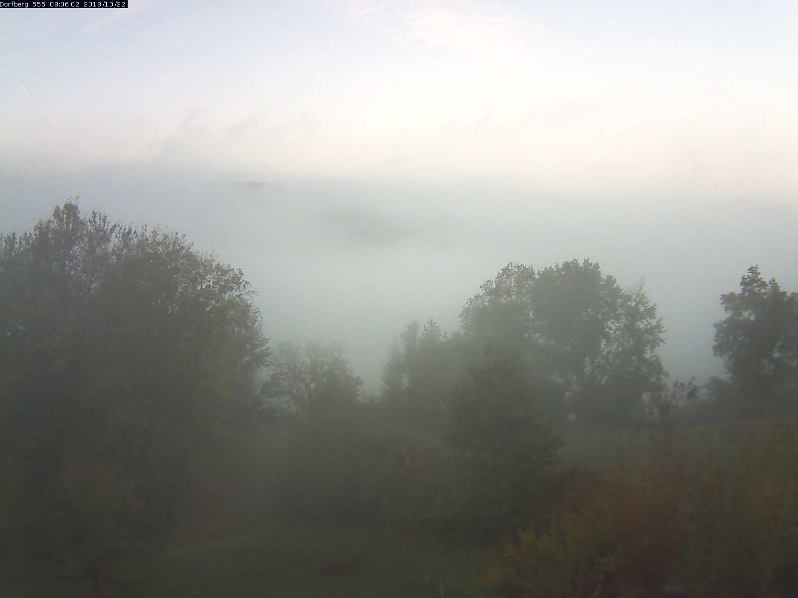 Webcam-Bild: Aussicht vom Dorfberg in Langnau 20181022-080601