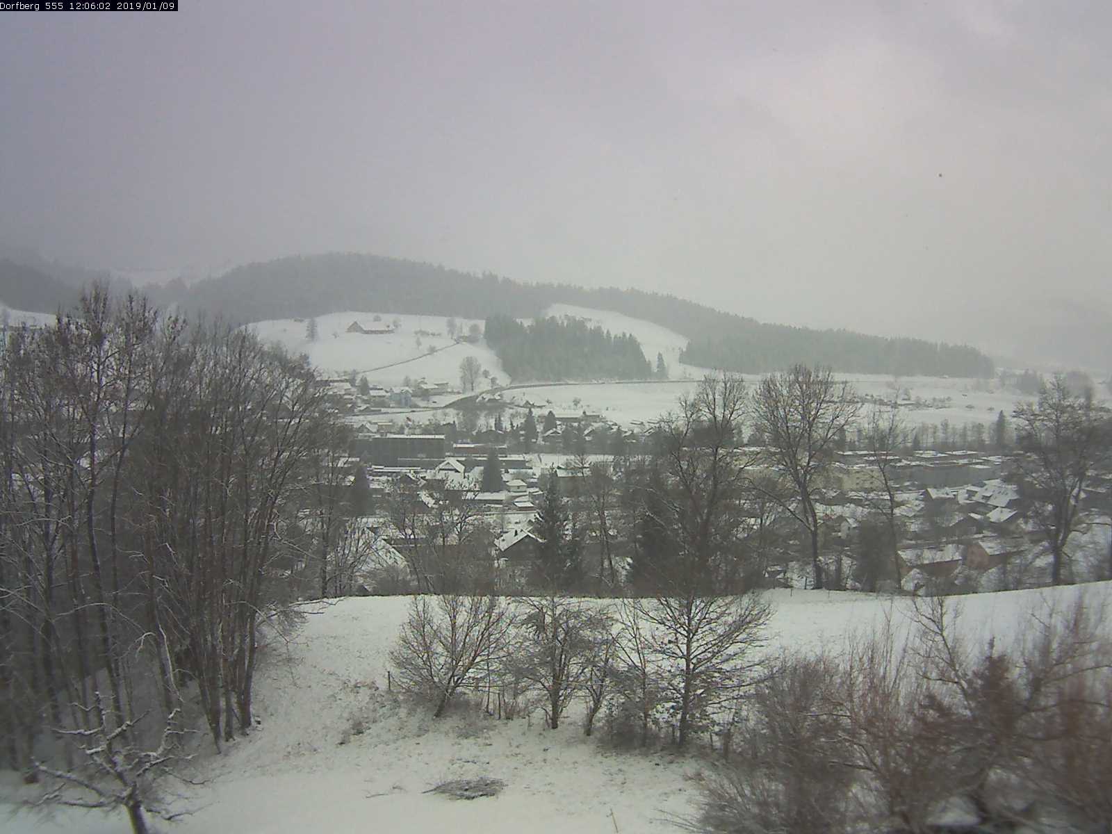 Webcam-Bild: Aussicht vom Dorfberg in Langnau 20190109-120601