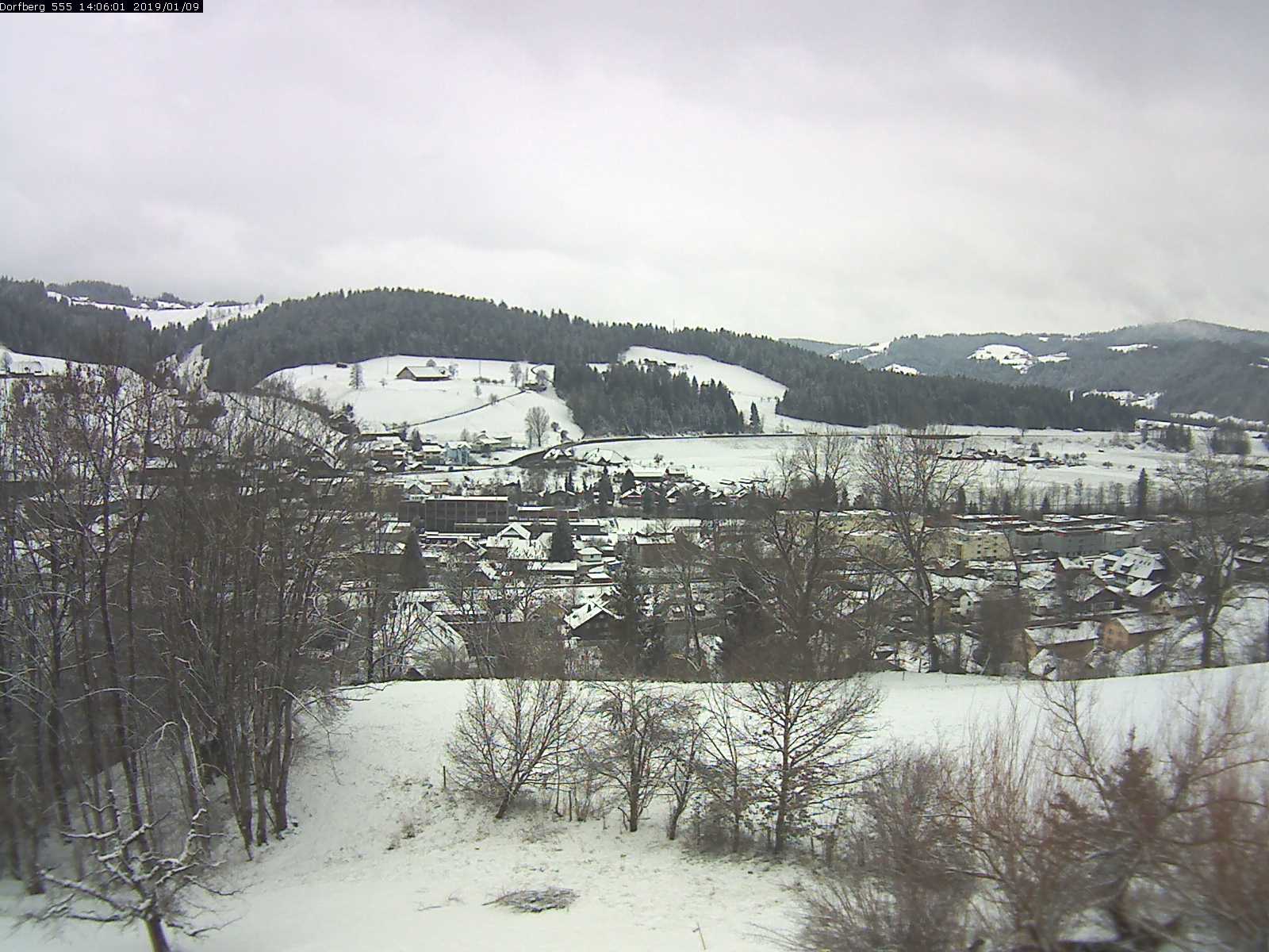 Webcam-Bild: Aussicht vom Dorfberg in Langnau 20190109-140601