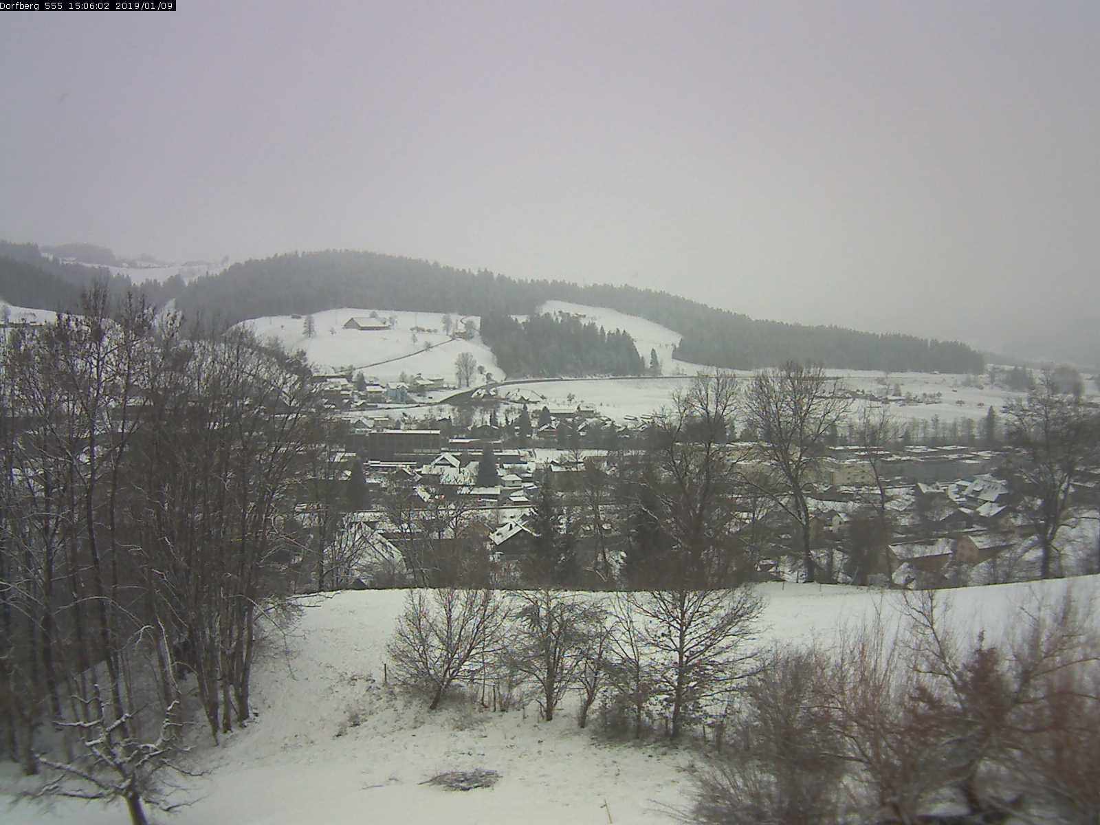 Webcam-Bild: Aussicht vom Dorfberg in Langnau 20190109-150601