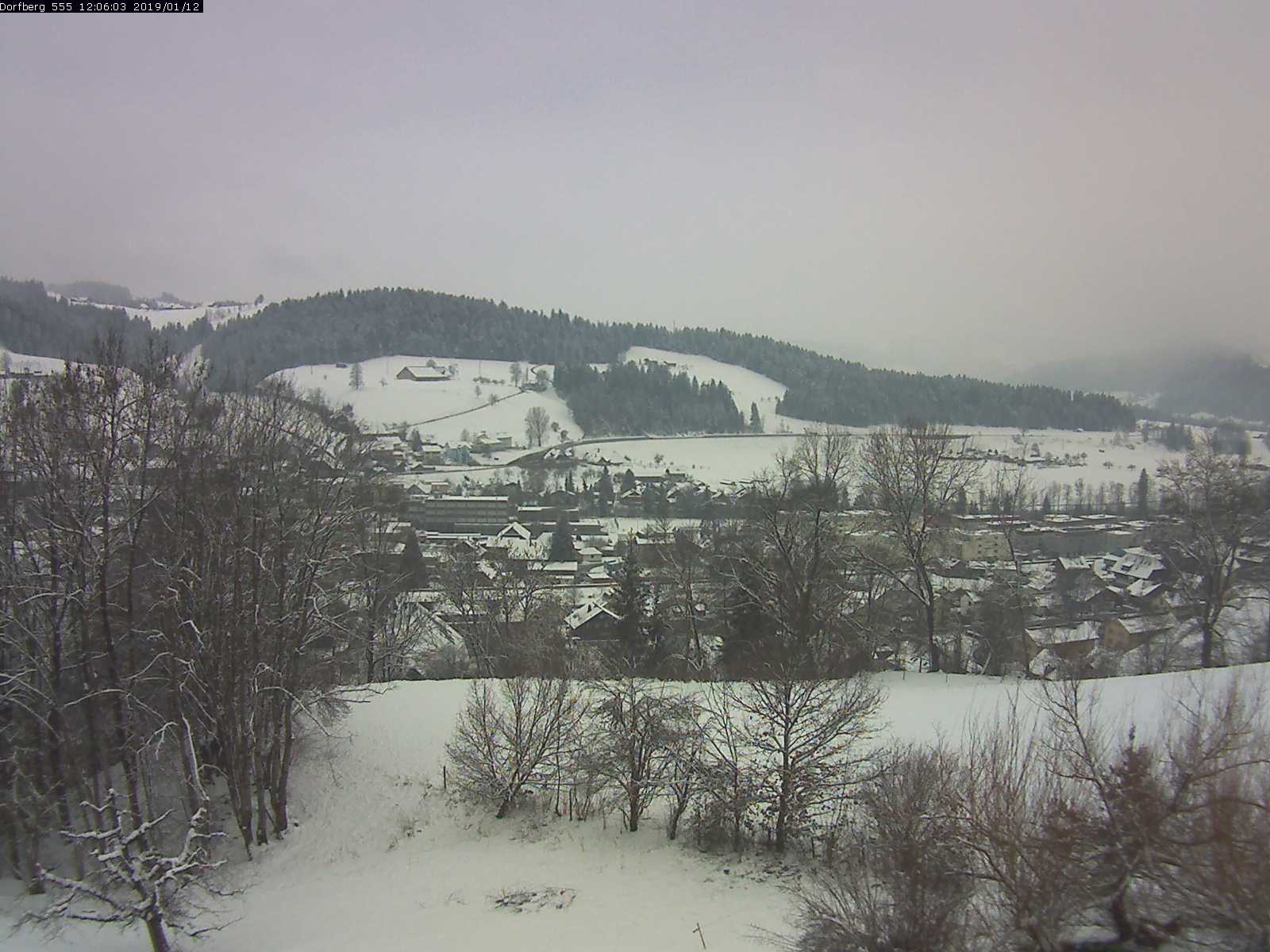 Webcam-Bild: Aussicht vom Dorfberg in Langnau 20190112-120601