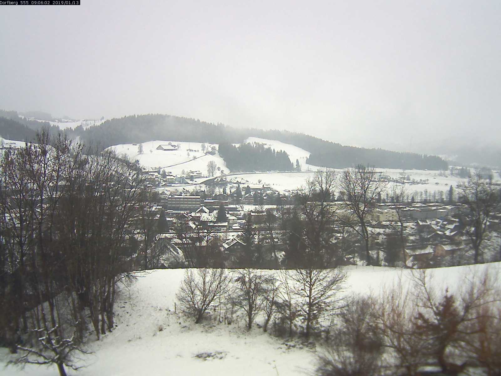 Webcam-Bild: Aussicht vom Dorfberg in Langnau 20190113-090601