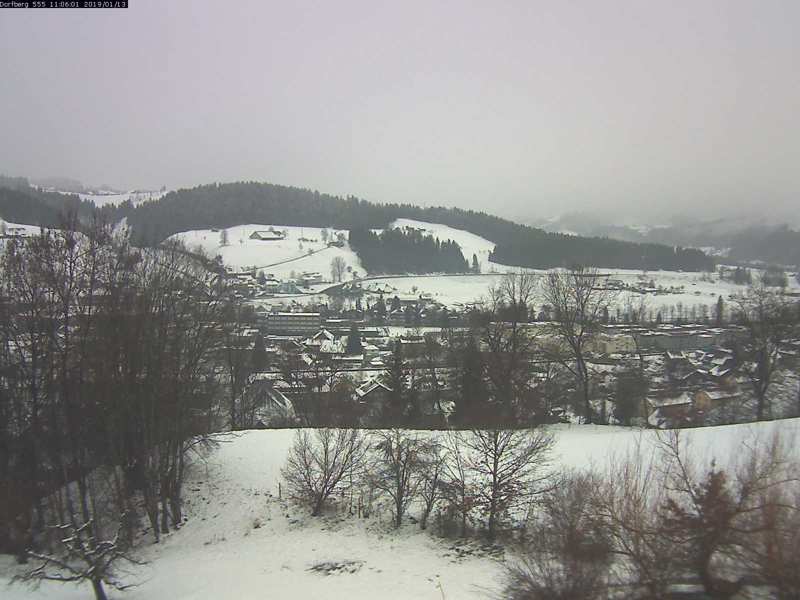 Webcam-Bild: Aussicht vom Dorfberg in Langnau 20190113-110601