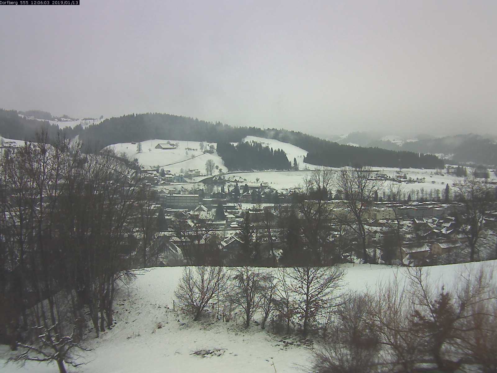 Webcam-Bild: Aussicht vom Dorfberg in Langnau 20190113-120601