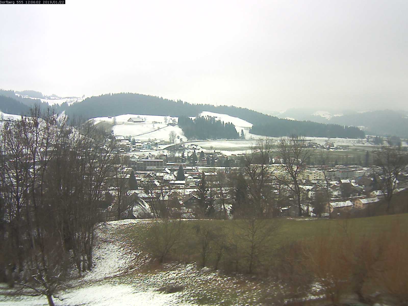 Webcam-Bild: Aussicht vom Dorfberg in Langnau 20190122-120601