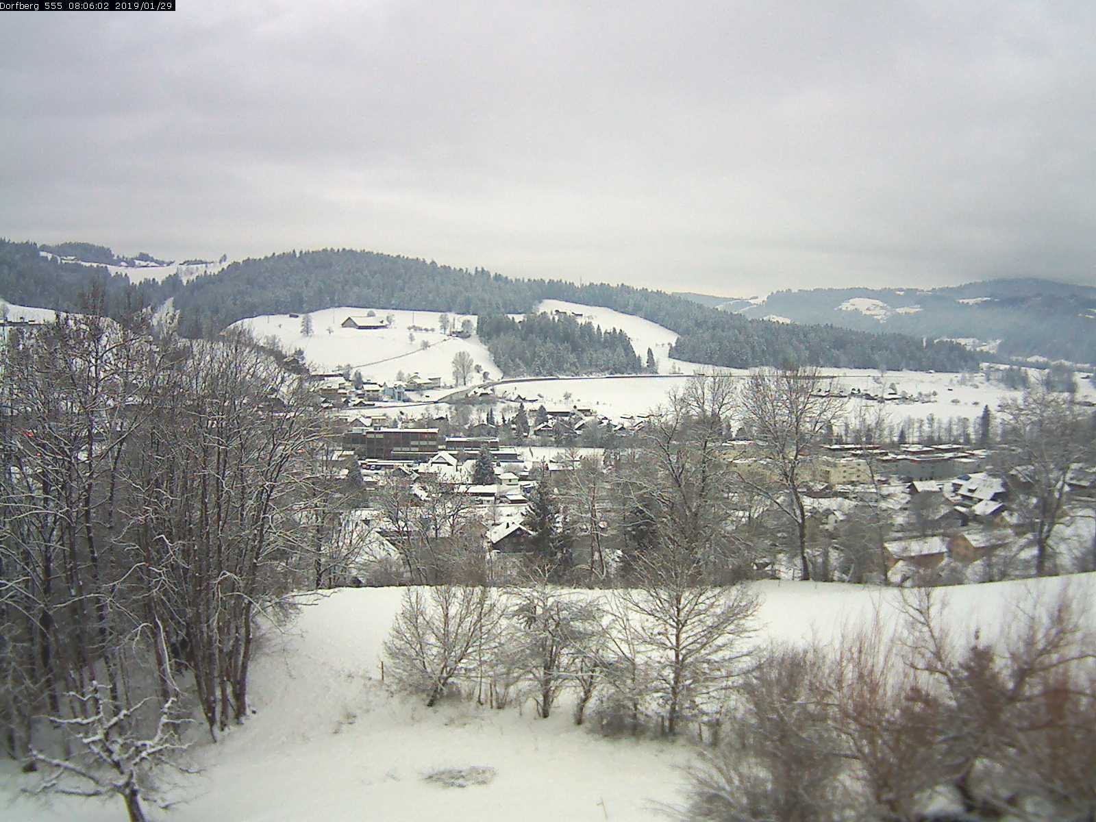 Webcam-Bild: Aussicht vom Dorfberg in Langnau 20190129-080601