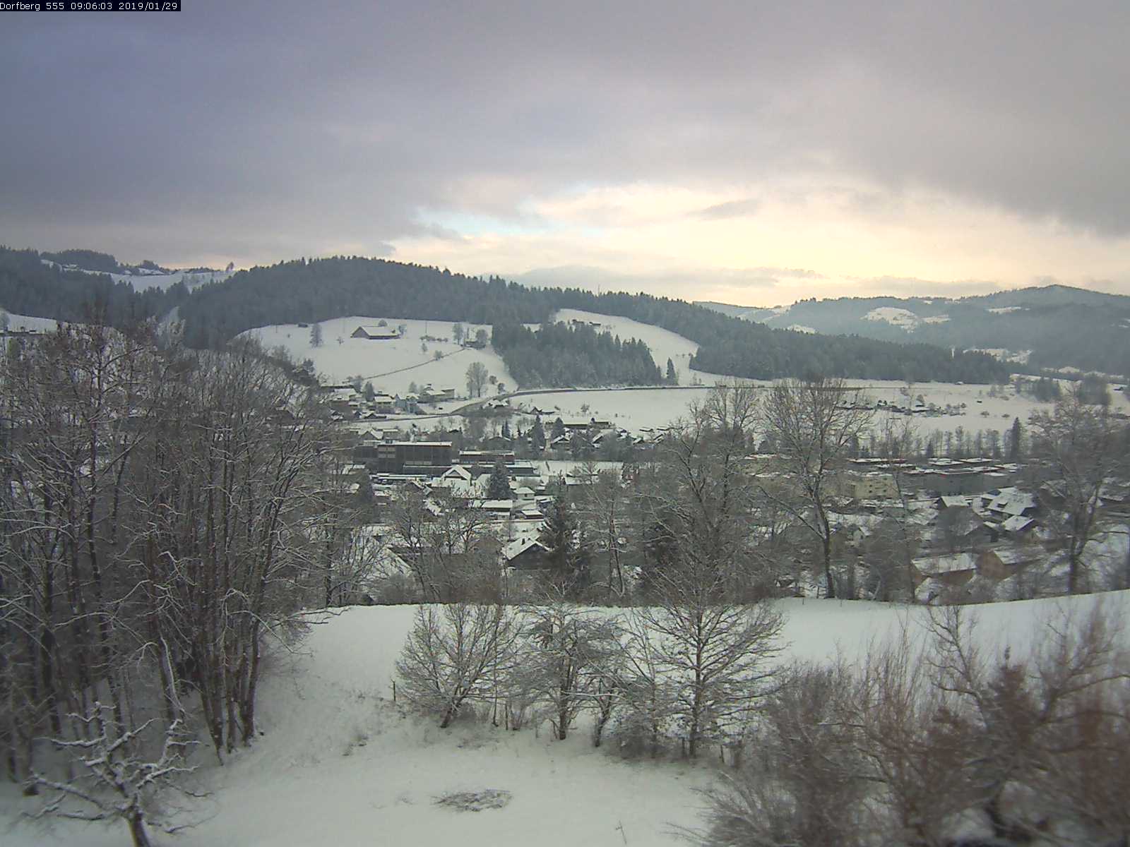 Webcam-Bild: Aussicht vom Dorfberg in Langnau 20190129-090601