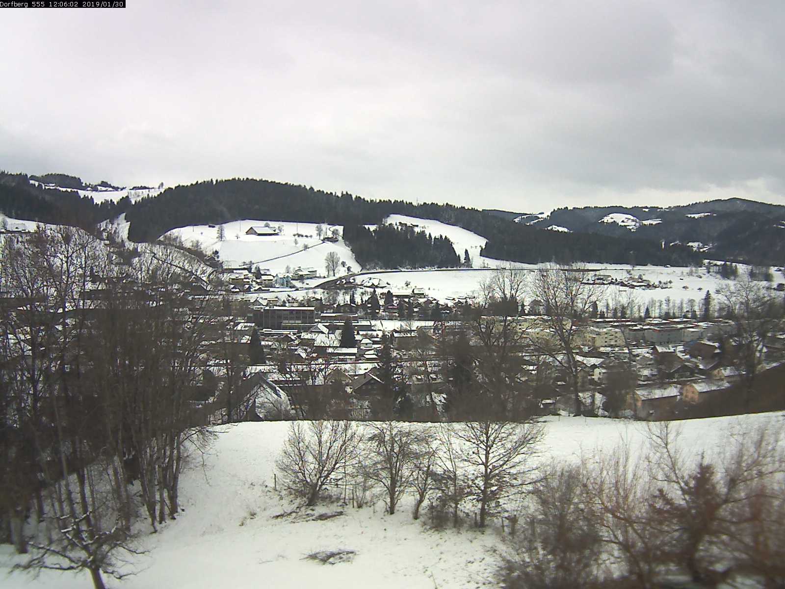 Webcam-Bild: Aussicht vom Dorfberg in Langnau 20190130-120601