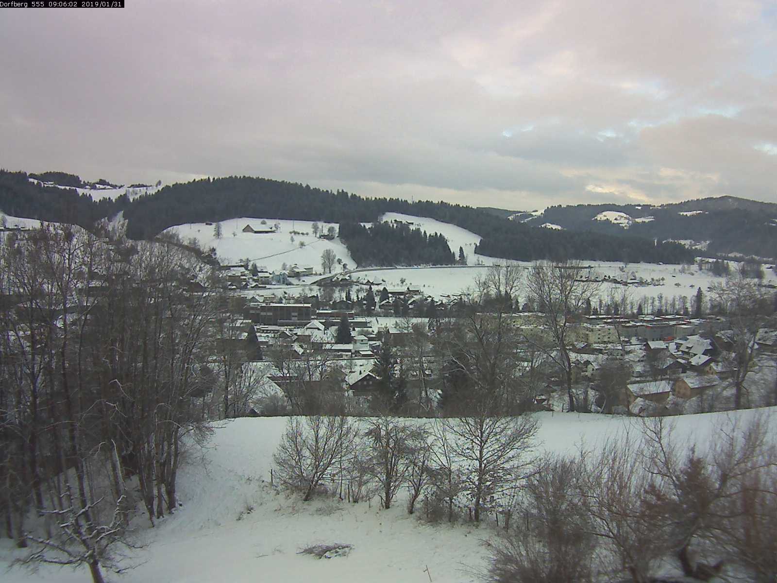 Webcam-Bild: Aussicht vom Dorfberg in Langnau 20190131-090601