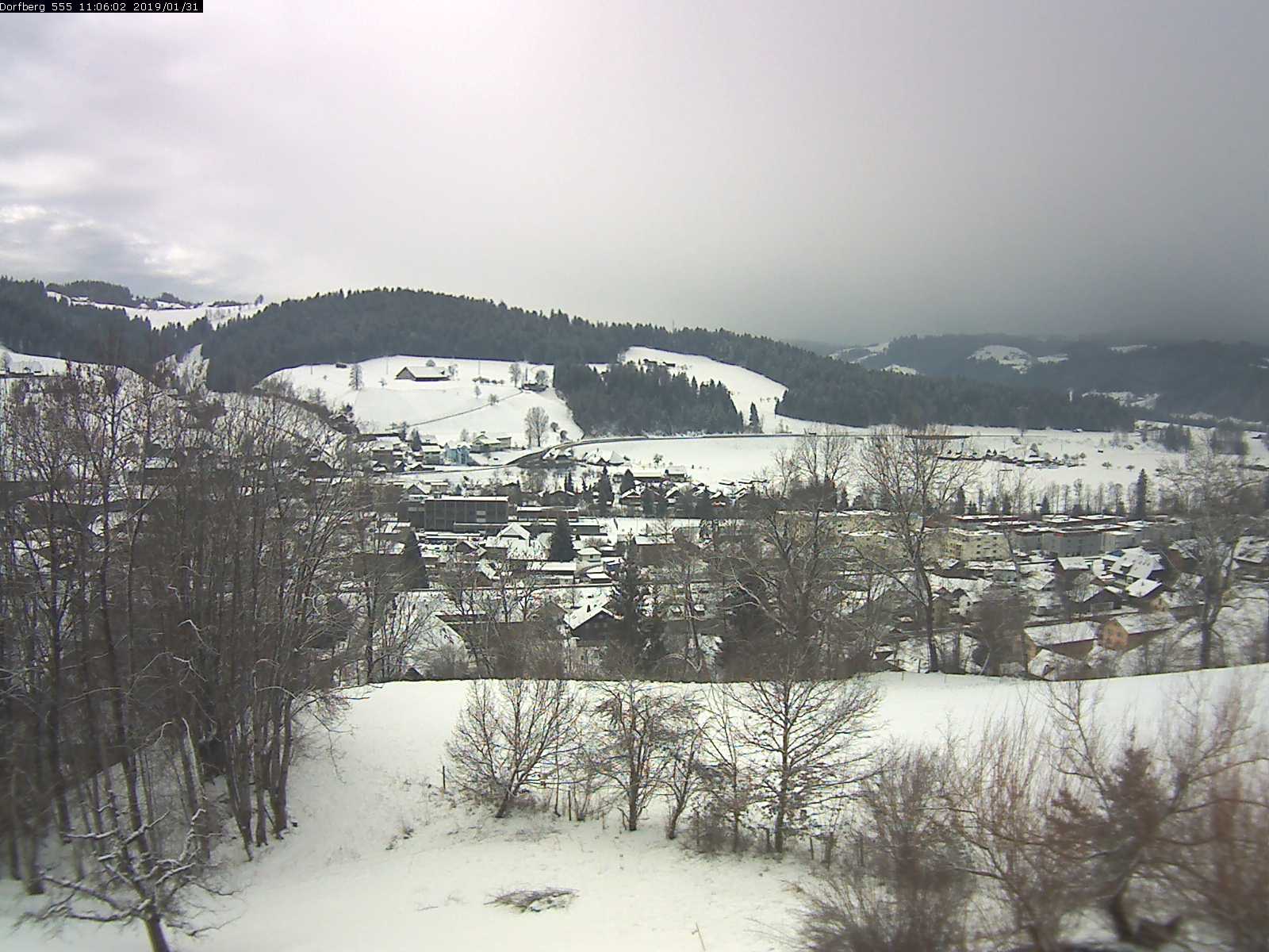 Webcam-Bild: Aussicht vom Dorfberg in Langnau 20190131-110601