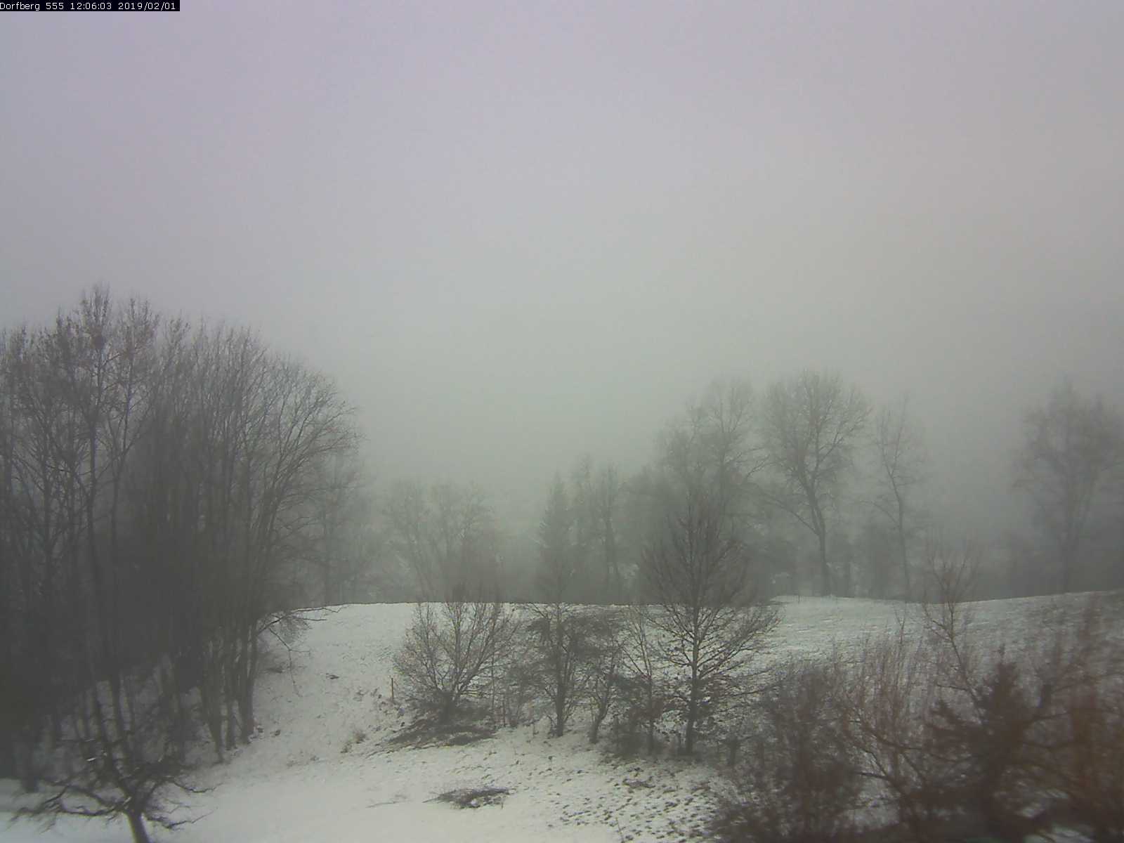 Webcam-Bild: Aussicht vom Dorfberg in Langnau 20190201-120601