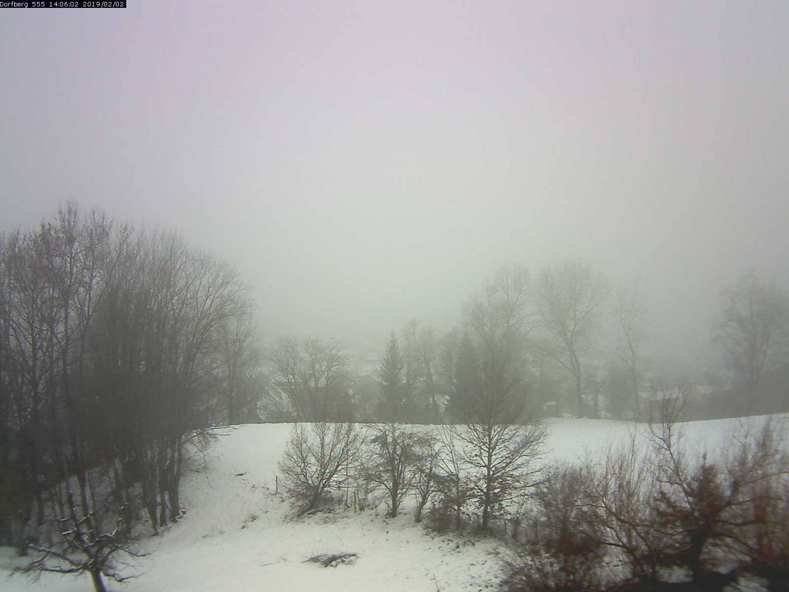 Webcam-Bild: Aussicht vom Dorfberg in Langnau 20190202-140601
