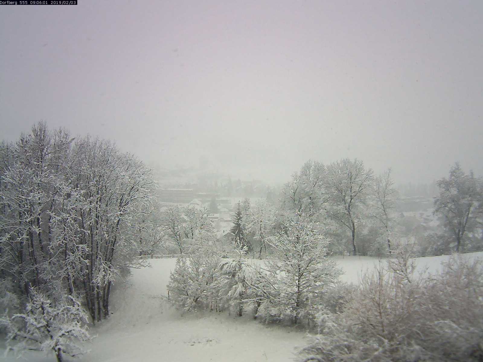 Webcam-Bild: Aussicht vom Dorfberg in Langnau 20190203-090601