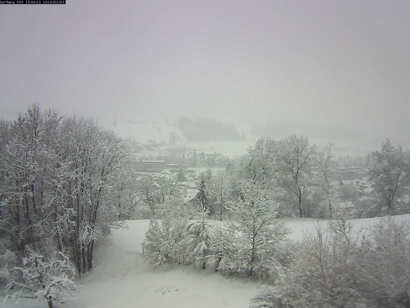 Webcam-Bild: Aussicht vom Dorfberg in Langnau 20190203-100601