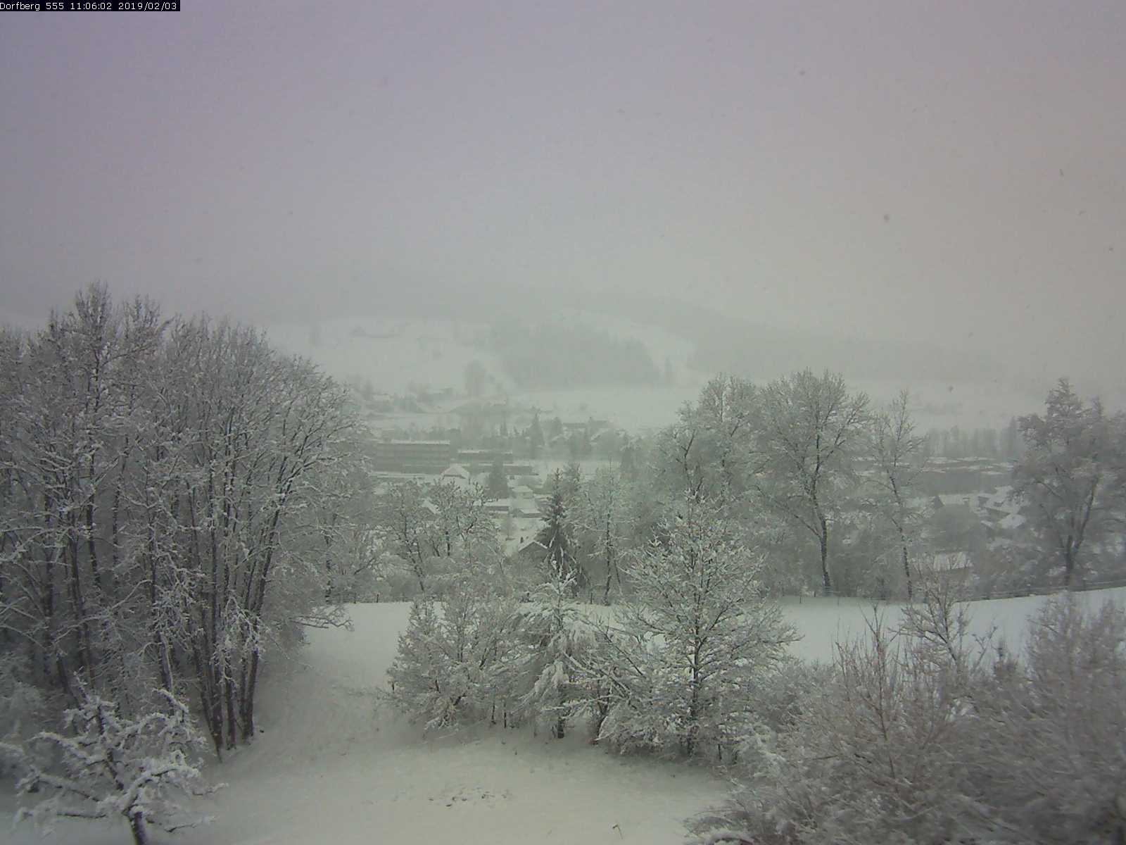 Webcam-Bild: Aussicht vom Dorfberg in Langnau 20190203-110601