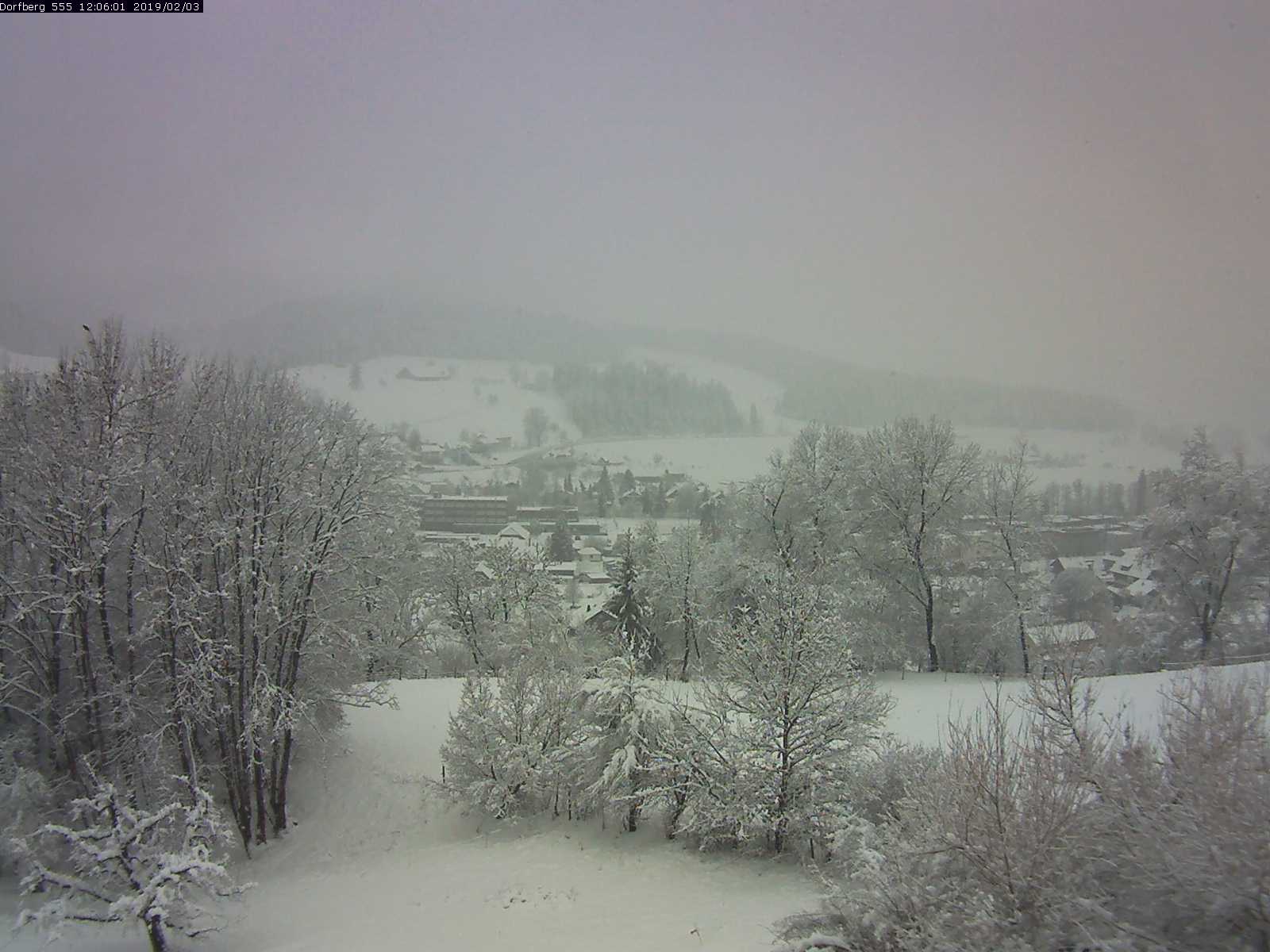 Webcam-Bild: Aussicht vom Dorfberg in Langnau 20190203-120601