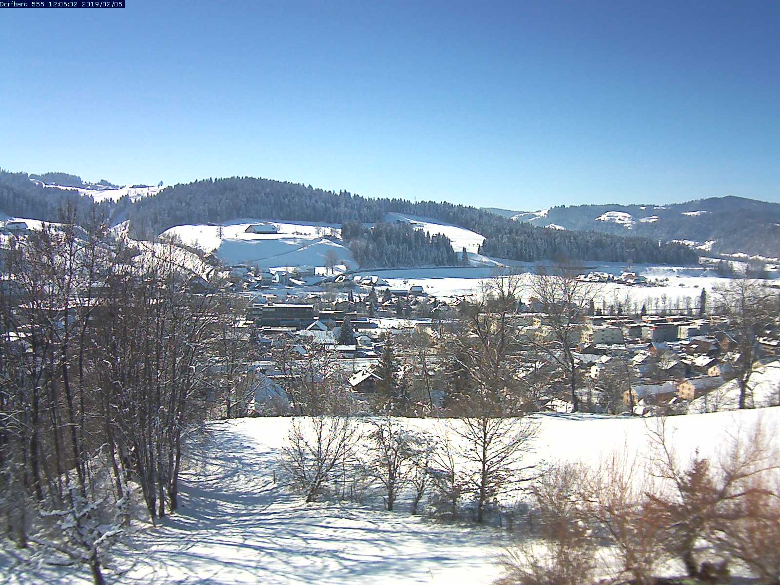 Webcam-Bild: Aussicht vom Dorfberg in Langnau 20190205-120601