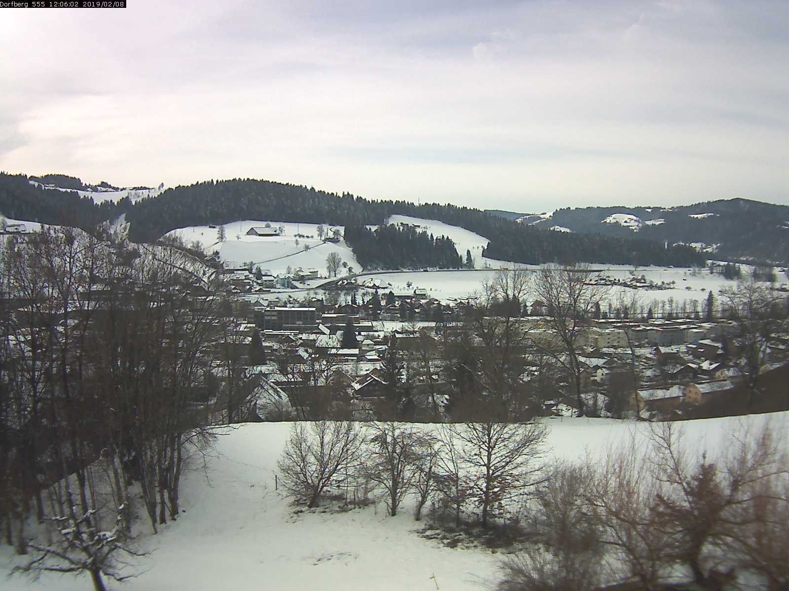Webcam-Bild: Aussicht vom Dorfberg in Langnau 20190208-120601