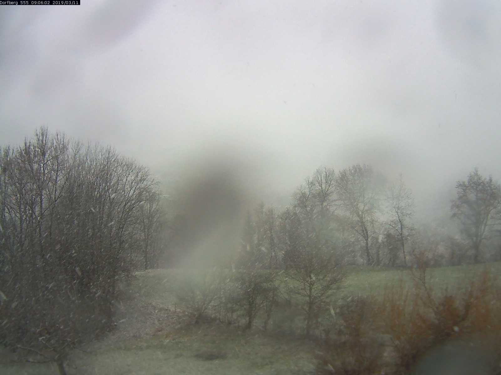 Webcam-Bild: Aussicht vom Dorfberg in Langnau 20190311-090601