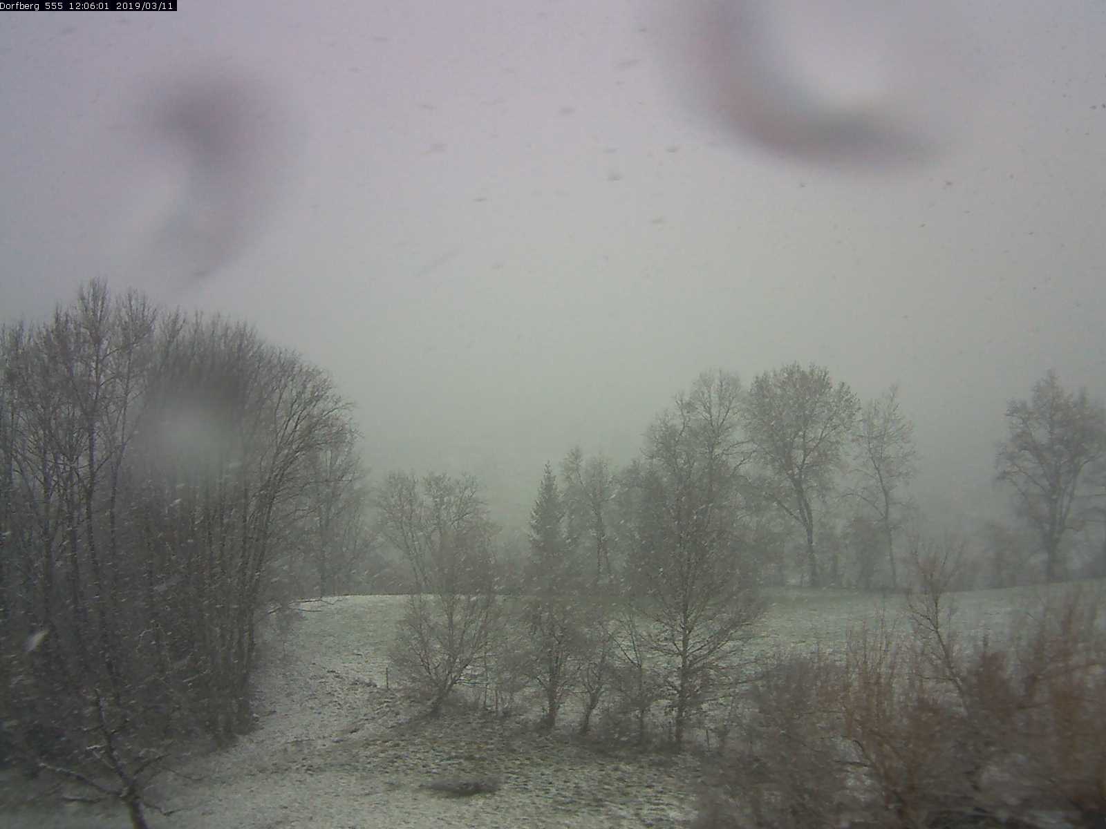 Webcam-Bild: Aussicht vom Dorfberg in Langnau 20190311-120601