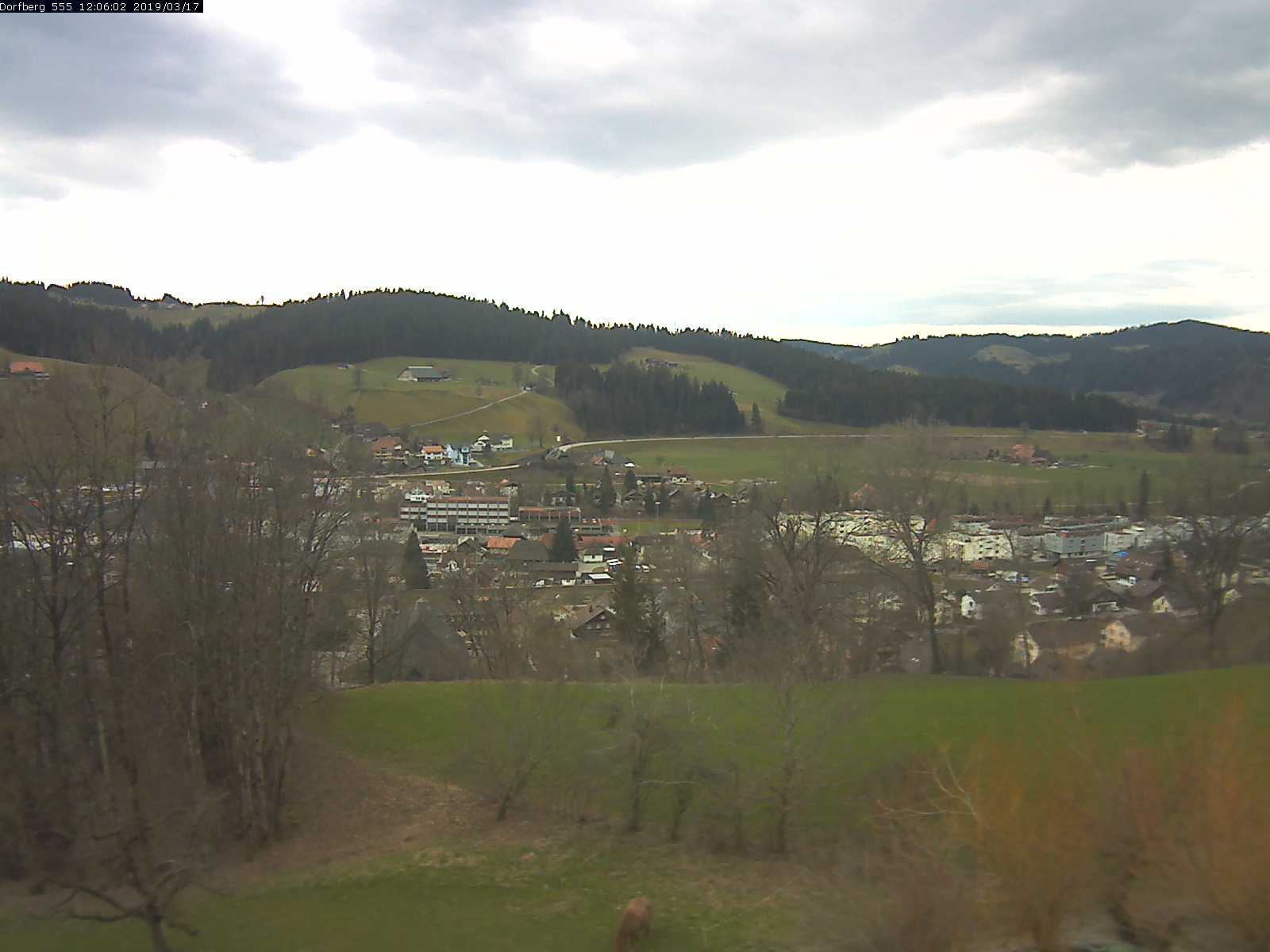 Webcam-Bild: Aussicht vom Dorfberg in Langnau 20190317-120601