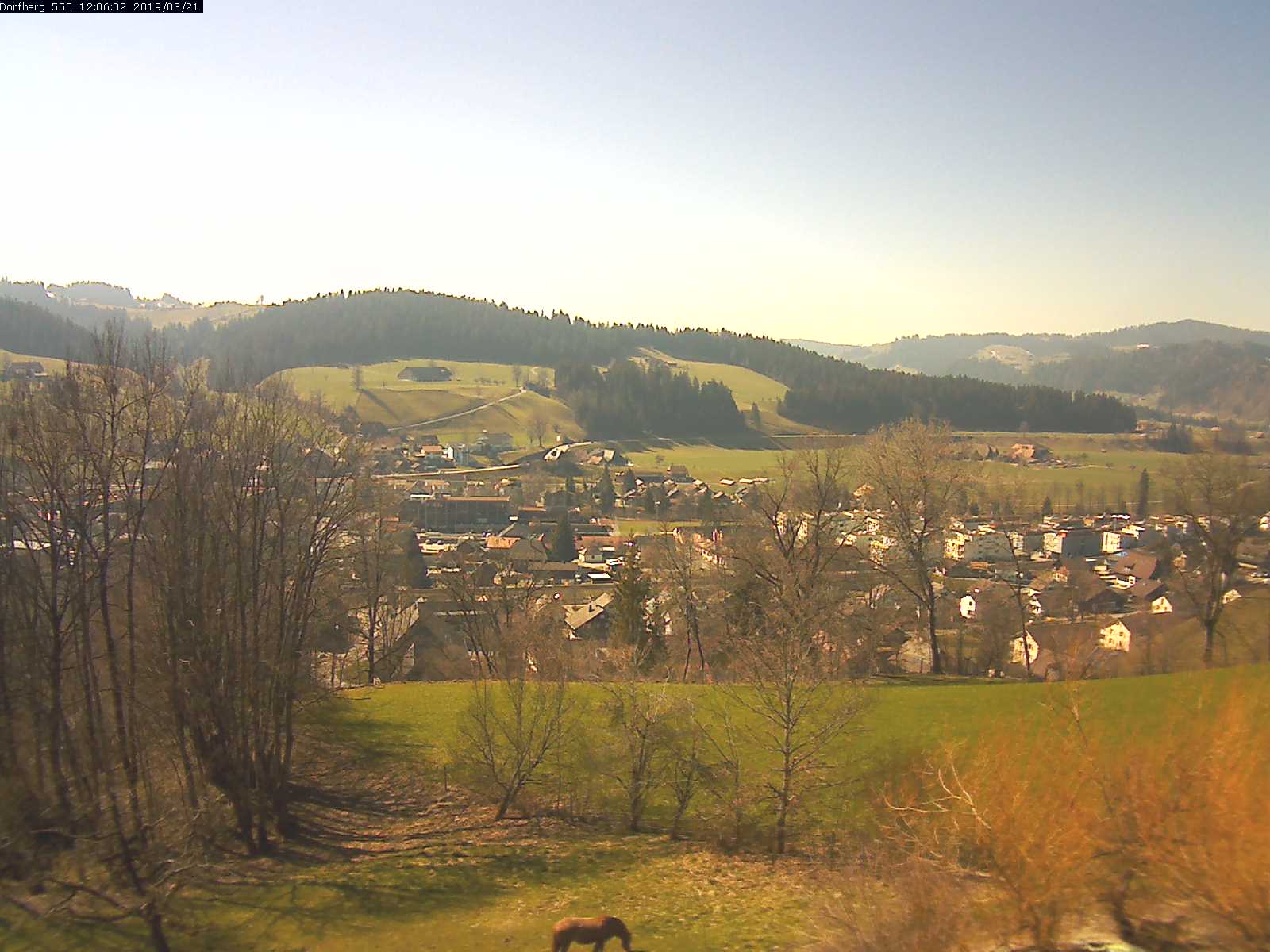 Webcam-Bild: Aussicht vom Dorfberg in Langnau 20190321-120601