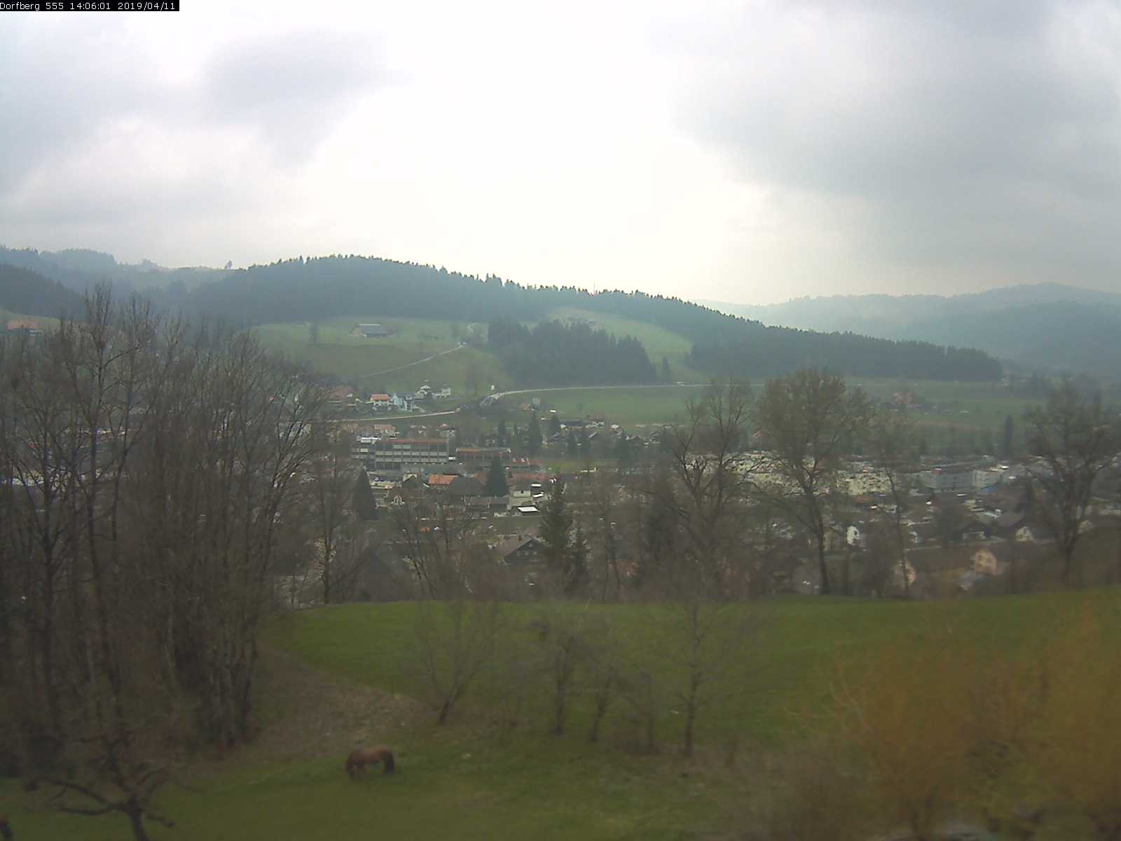 Webcam-Bild: Aussicht vom Dorfberg in Langnau 20190411-140601