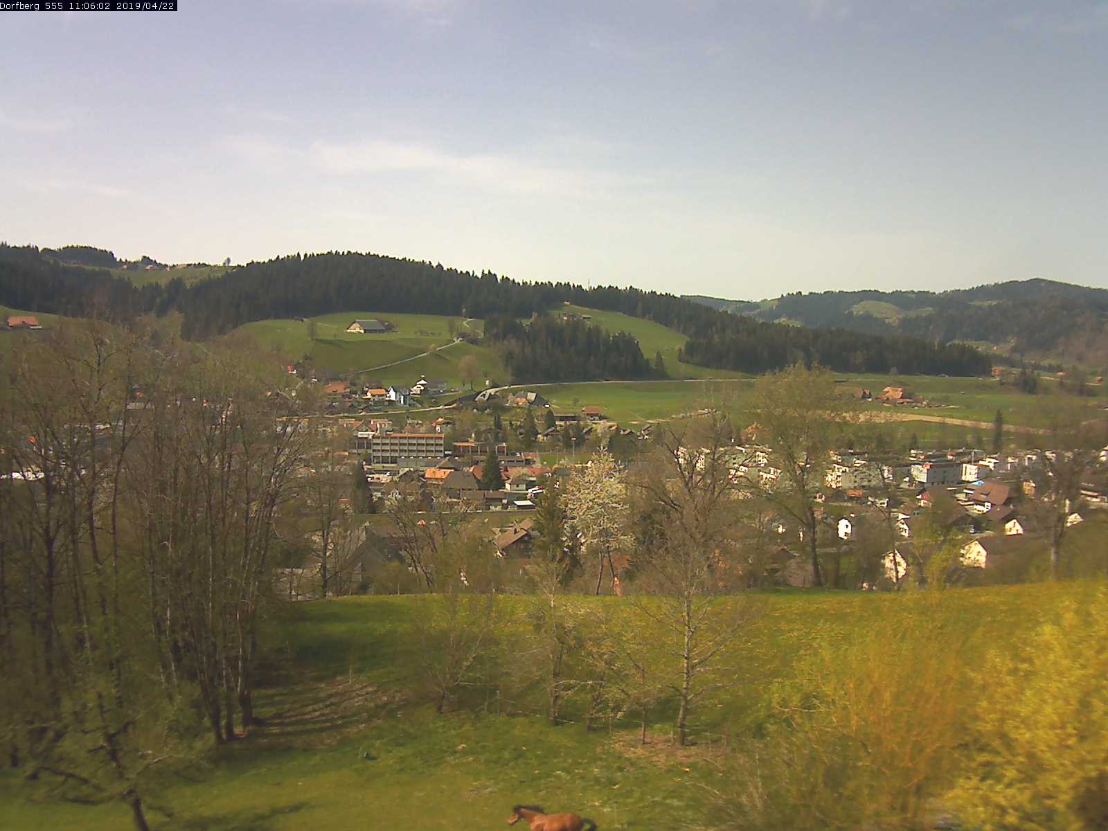 Webcam-Bild: Aussicht vom Dorfberg in Langnau 20190422-110602