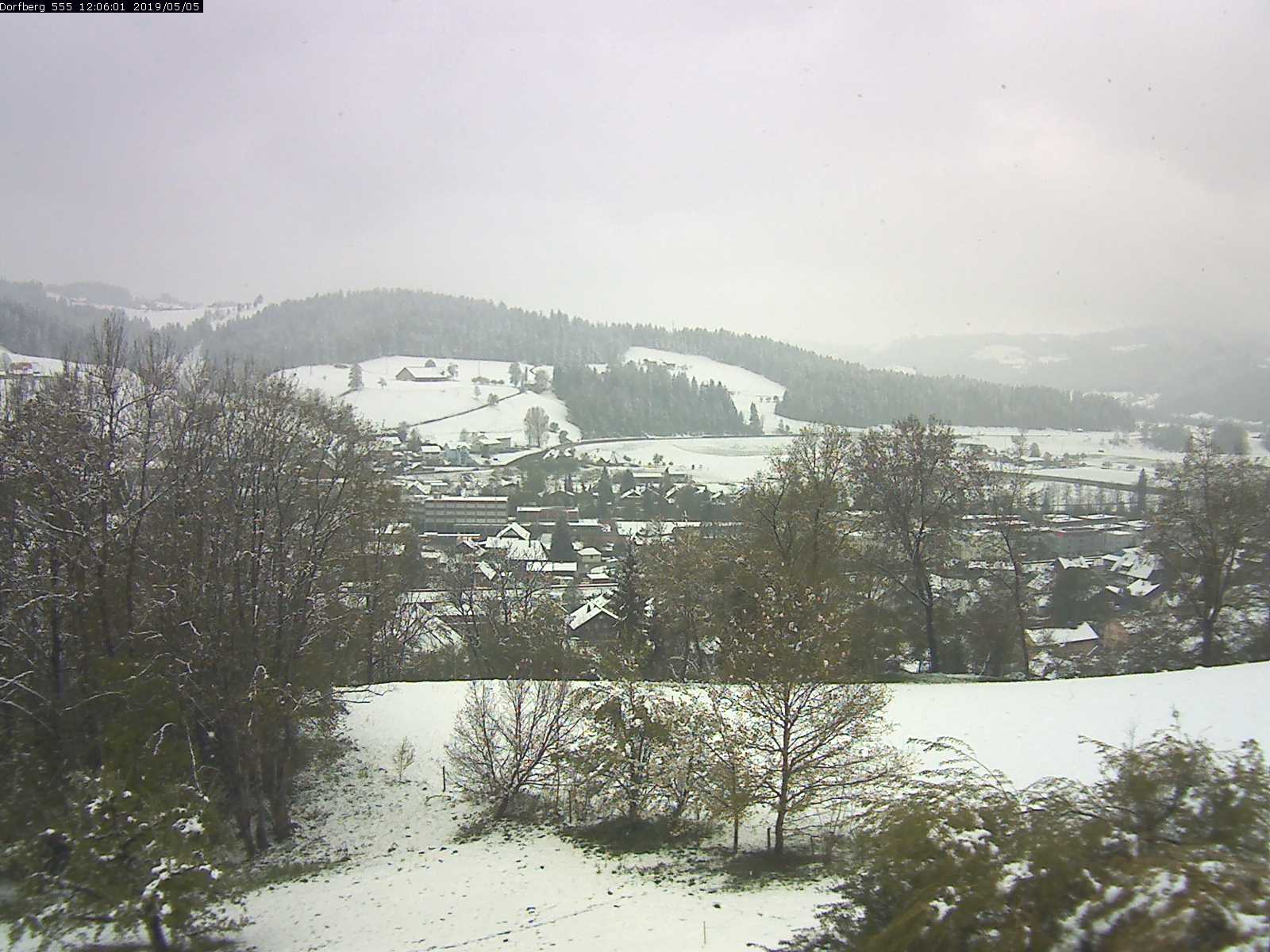 Webcam-Bild: Aussicht vom Dorfberg in Langnau 20190505-120601