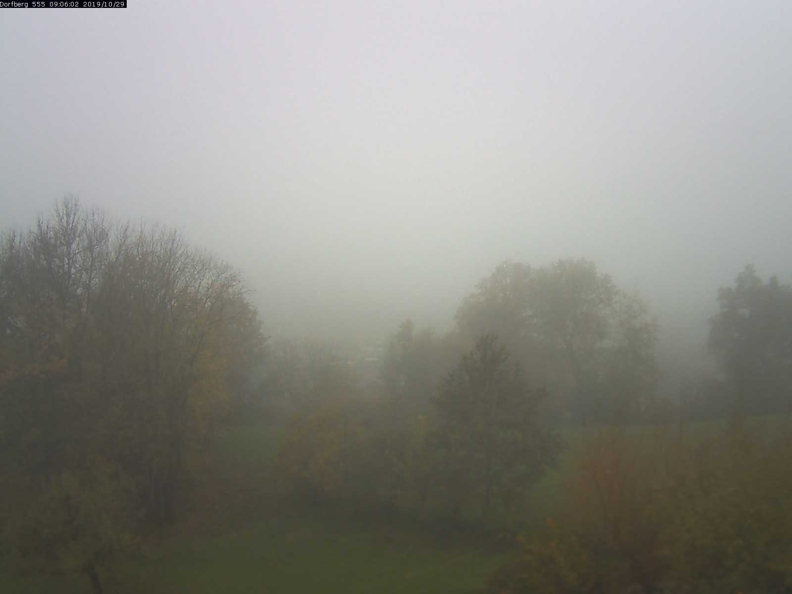 Webcam-Bild: Aussicht vom Dorfberg in Langnau 20191029-090601