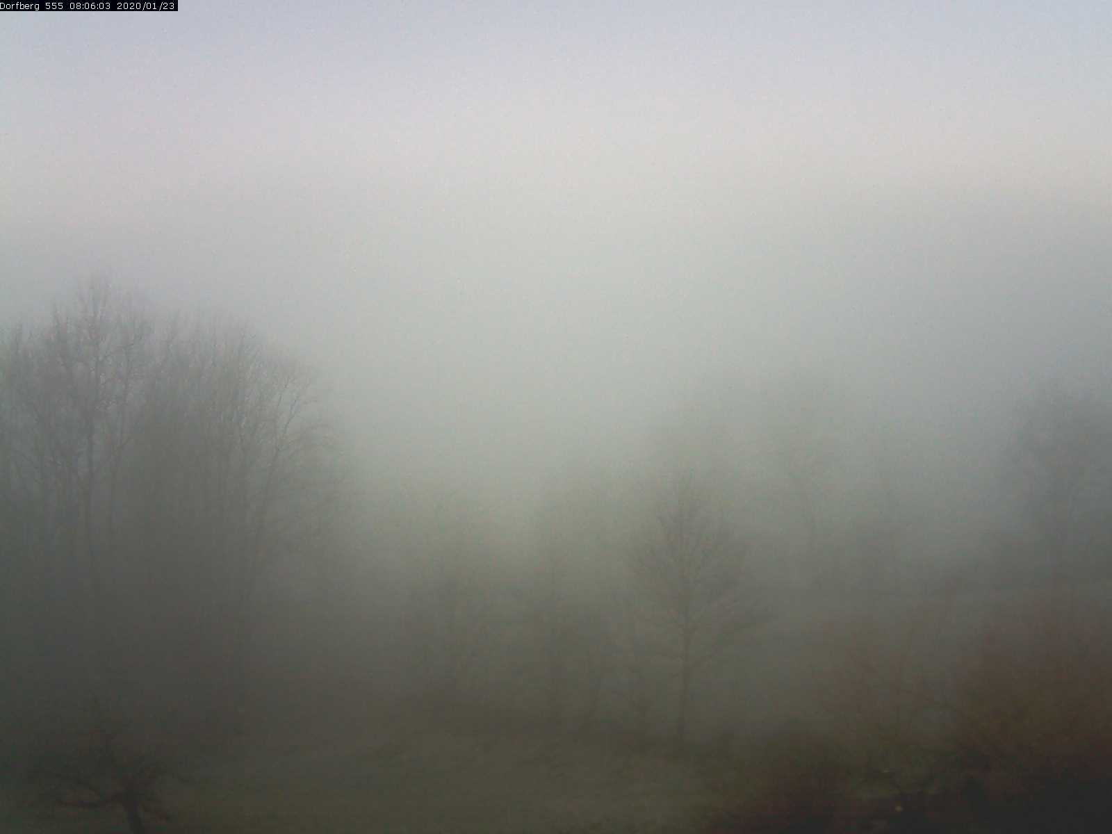 Webcam-Bild: Aussicht vom Dorfberg in Langnau 20200123-080601
