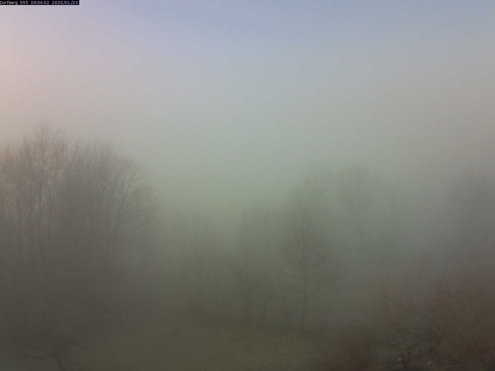 Webcam-Bild: Aussicht vom Dorfberg in Langnau 20200123-090601