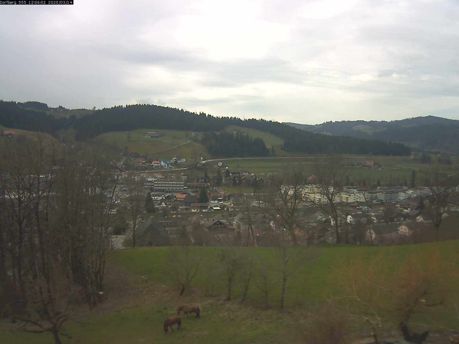 Webcam-Bild: Aussicht vom Dorfberg in Langnau 20200314-120601