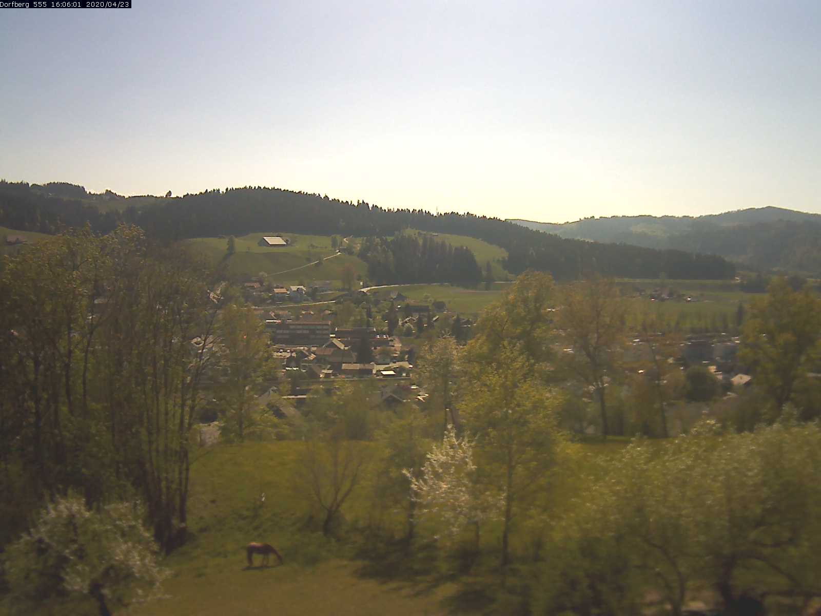 Webcam-Bild: Aussicht vom Dorfberg in Langnau 20200423-160601