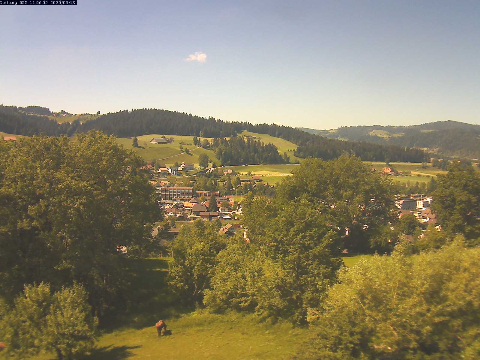 Webcam-Bild: Aussicht vom Dorfberg in Langnau 20200519-110601