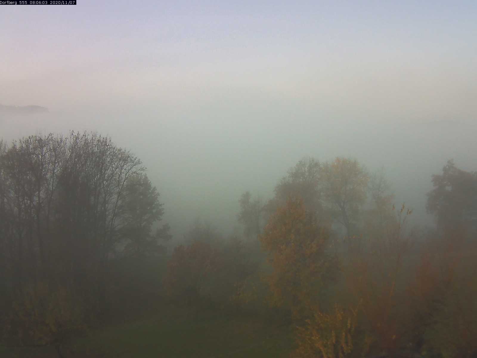 Webcam-Bild: Aussicht vom Dorfberg in Langnau 20201107-080601