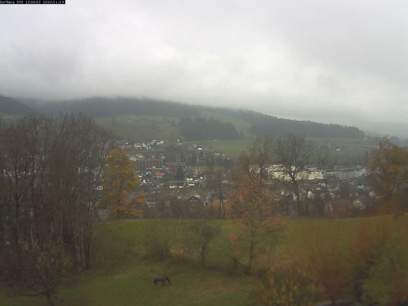 Webcam-Bild: Aussicht vom Dorfberg in Langnau 20201119-120602