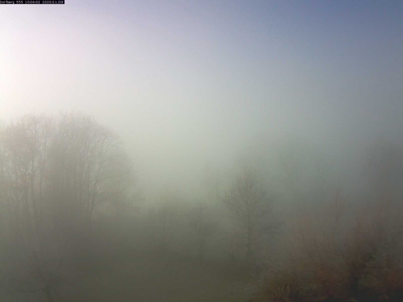 Webcam-Bild: Aussicht vom Dorfberg in Langnau 20201128-100601