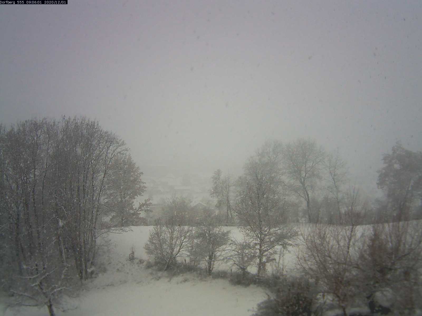 Webcam-Bild: Aussicht vom Dorfberg in Langnau 20201201-090601