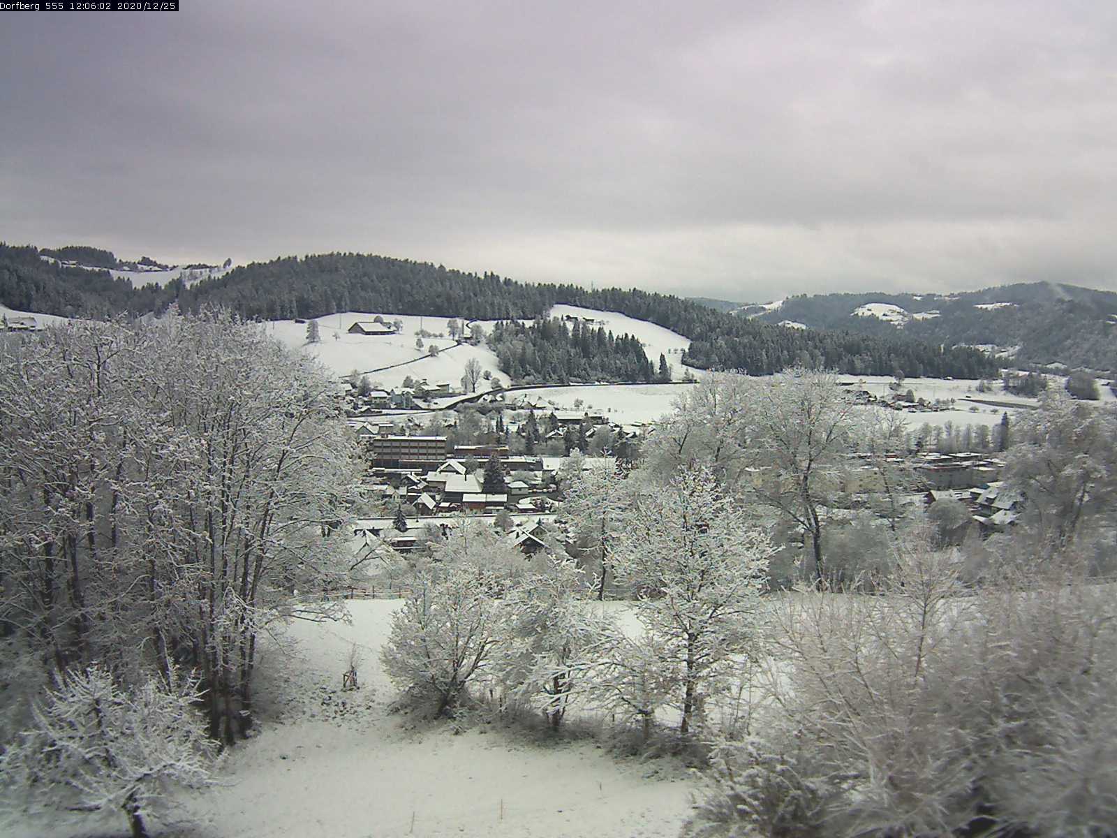 Webcam-Bild: Aussicht vom Dorfberg in Langnau 20201225-120601