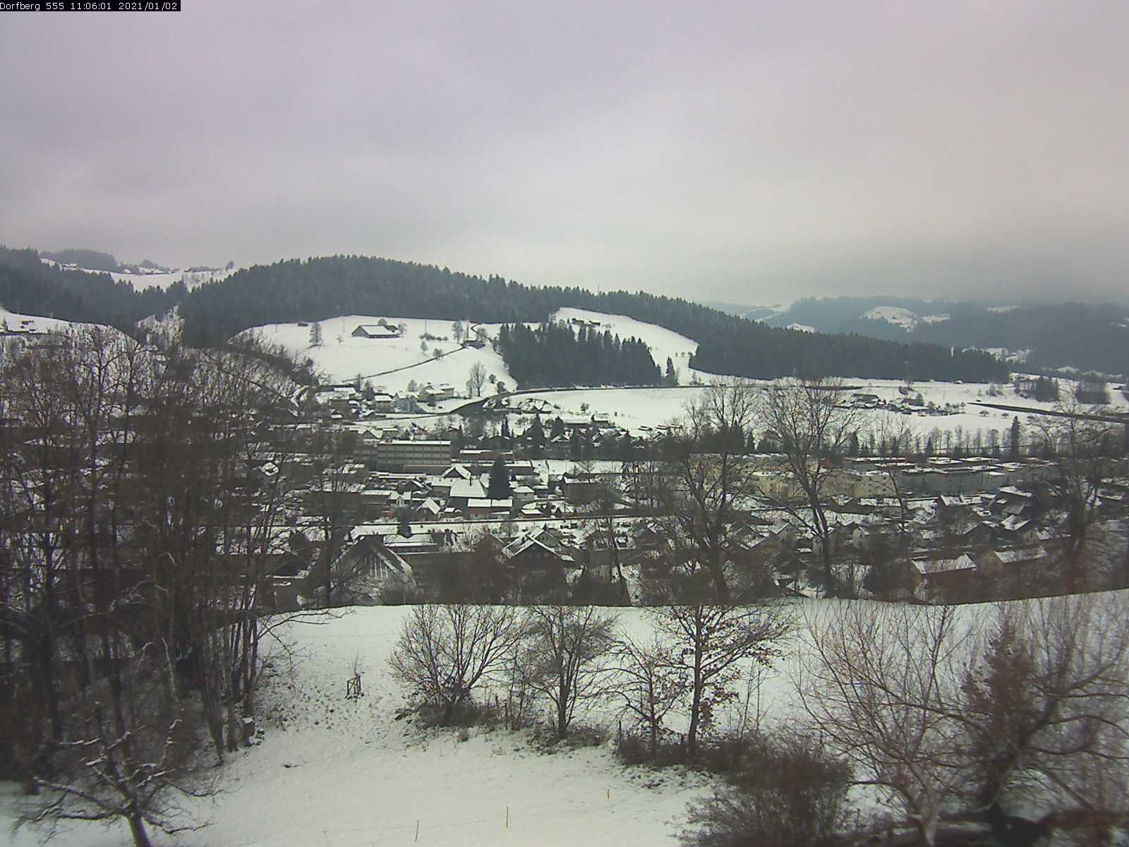 Webcam-Bild: Aussicht vom Dorfberg in Langnau 20210102-110601