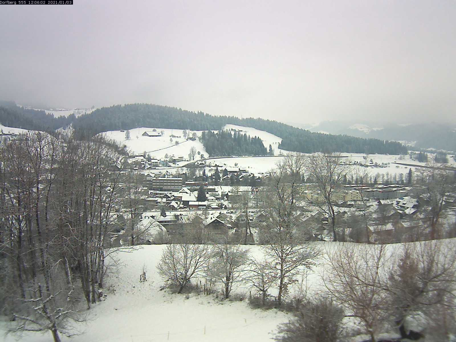 Webcam-Bild: Aussicht vom Dorfberg in Langnau 20210103-120601