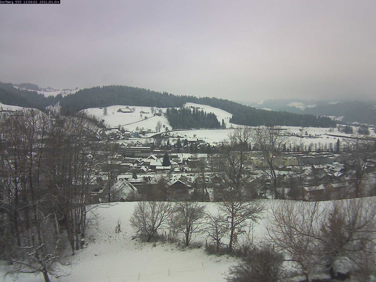 Webcam-Bild: Aussicht vom Dorfberg in Langnau 20210104-120601