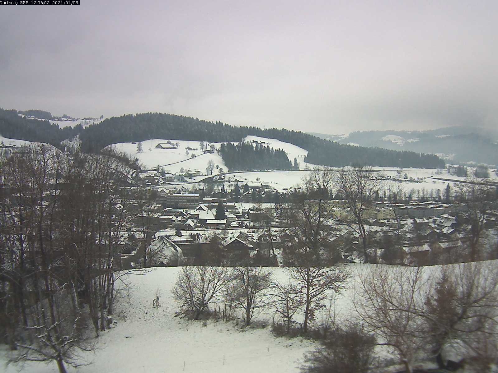 Webcam-Bild: Aussicht vom Dorfberg in Langnau 20210105-120601