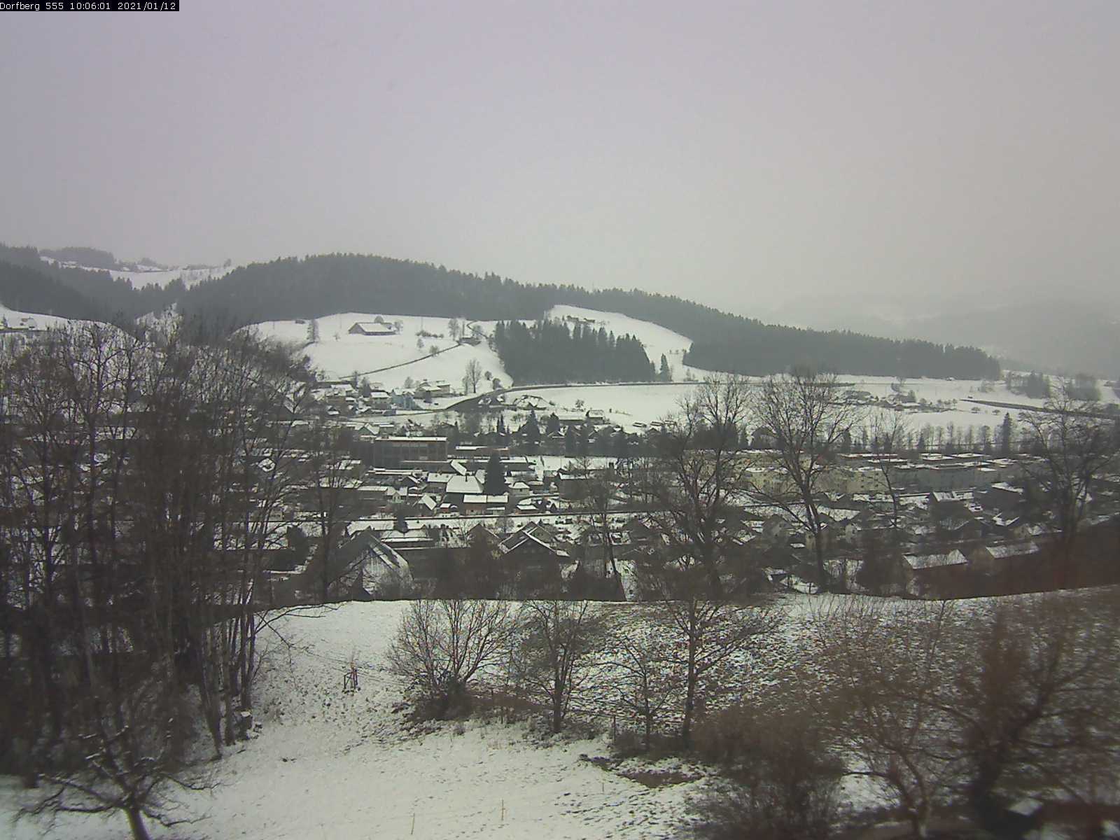 Webcam-Bild: Aussicht vom Dorfberg in Langnau 20210112-100601